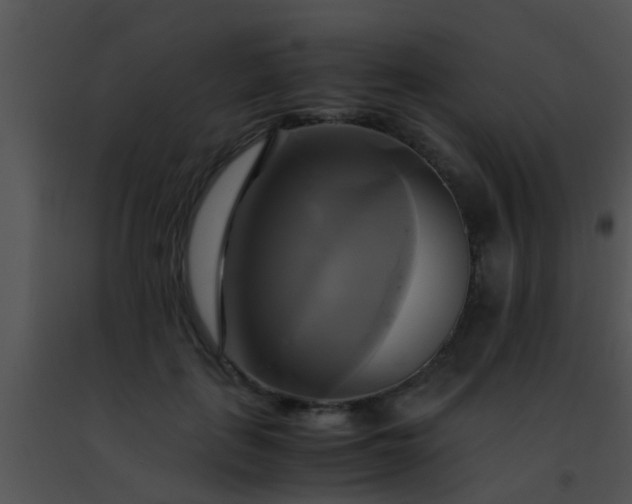 X0000091500651200708301959