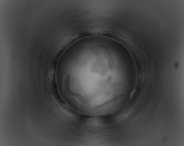 X0000091500652200708301959