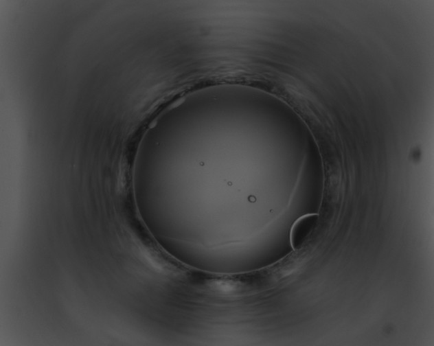 X0000091500654200708301959