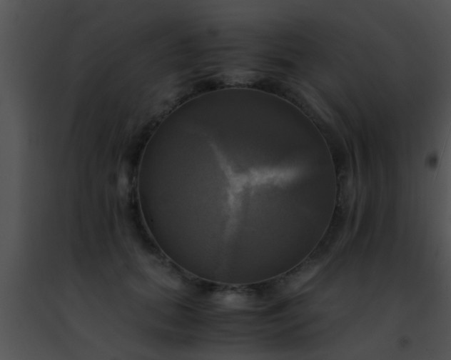 X0000091500655200708301959