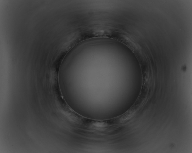 X0000091500659200708301959