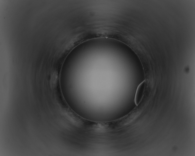 X0000091500660200708301959