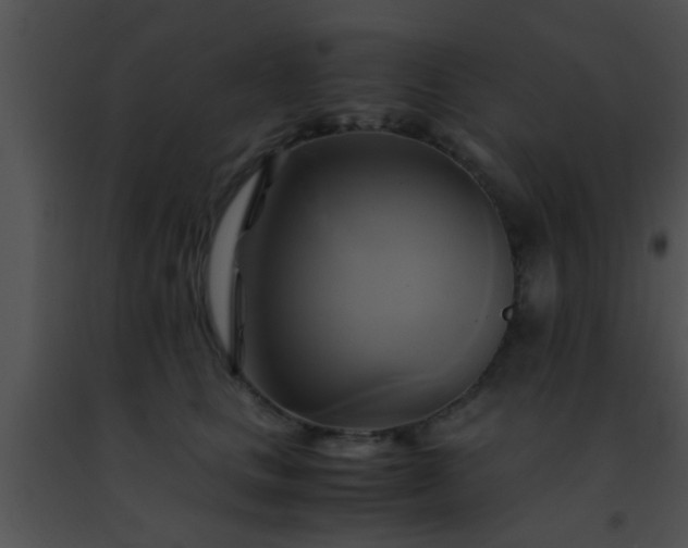 X0000091500661200708301959