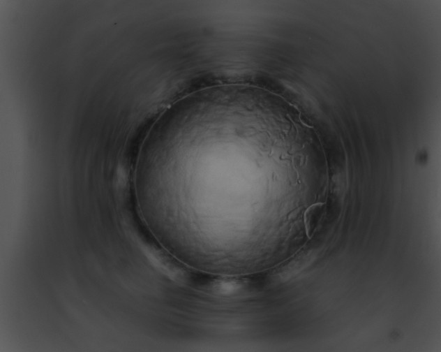 X0000091500662200708301959