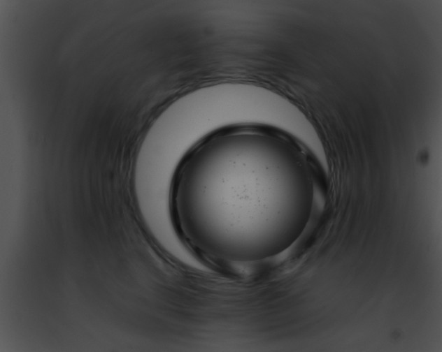 X0000091500664200708301959