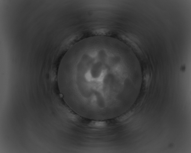 X0000091500665200708301959