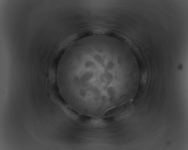 X0000091500666200708301959