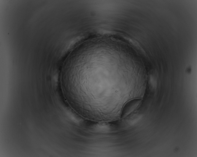 X0000091500668200708301959