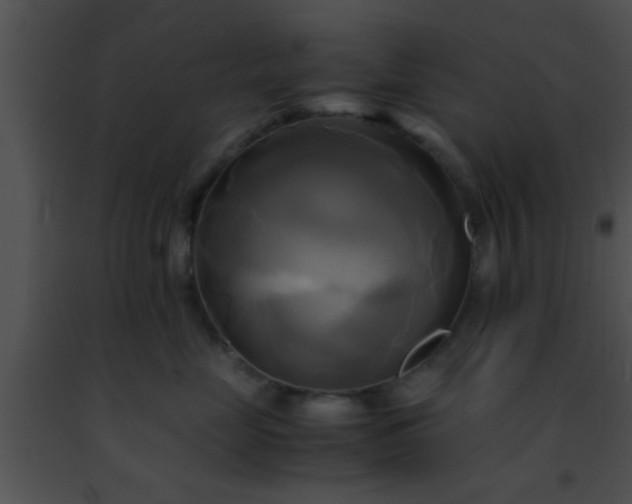 X0000091500669200708301959