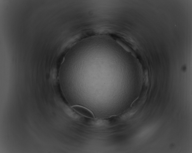 X0000091500670200708301959