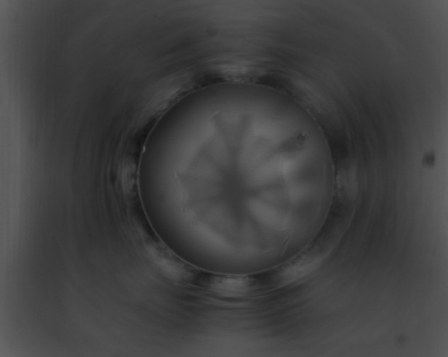 X0000091500671200708301959