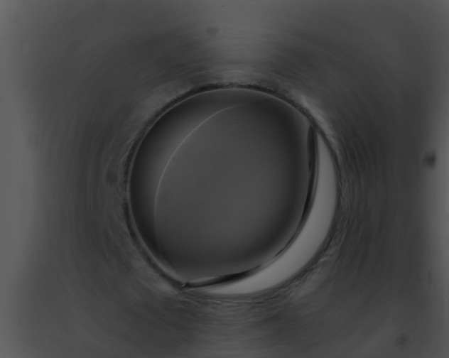 X0000091500673200708301958