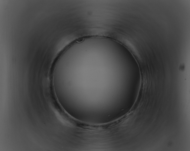 X0000091500674200708301958