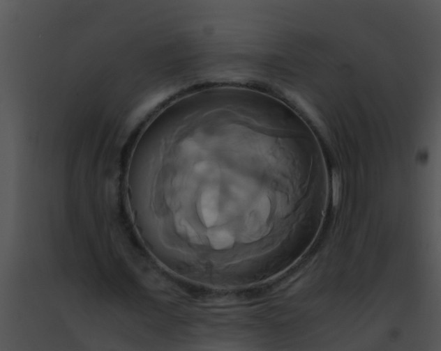 X0000091500675200708301958