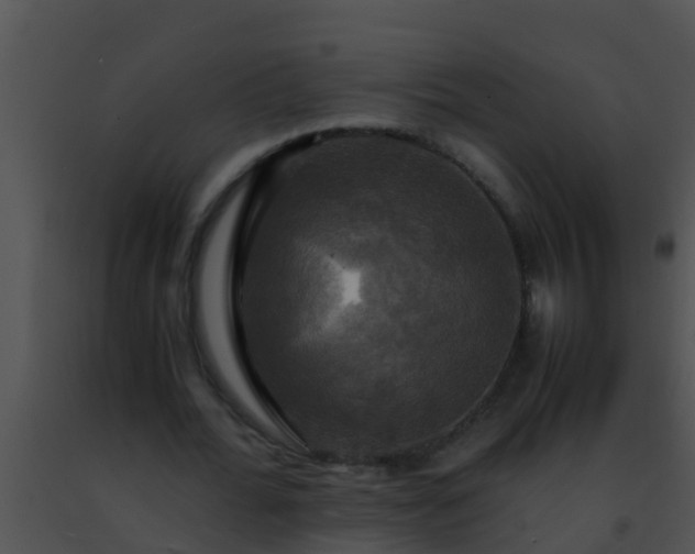 X0000091500676200708301958