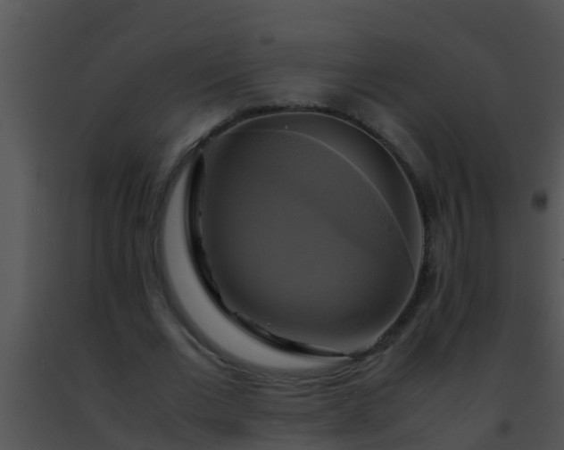 X0000091500677200708301958