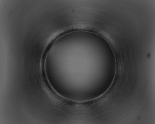 X0000091500678200708301958