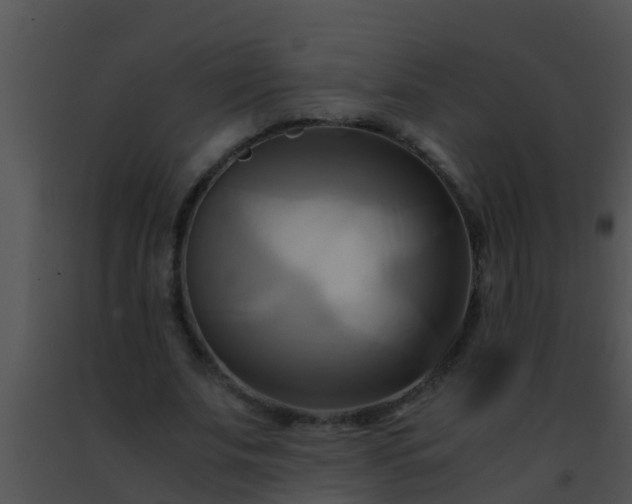 X0000091500679200708301958