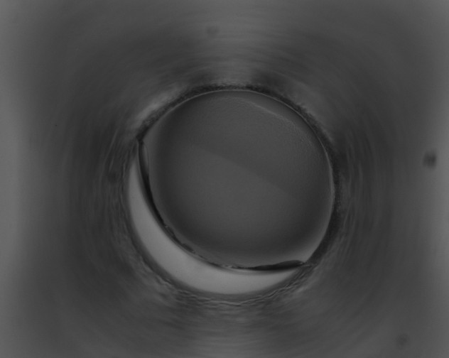 X0000091500681200708301958