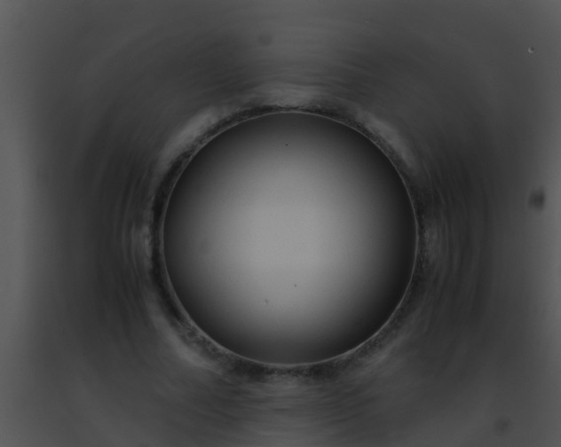 X0000091500682200708301958