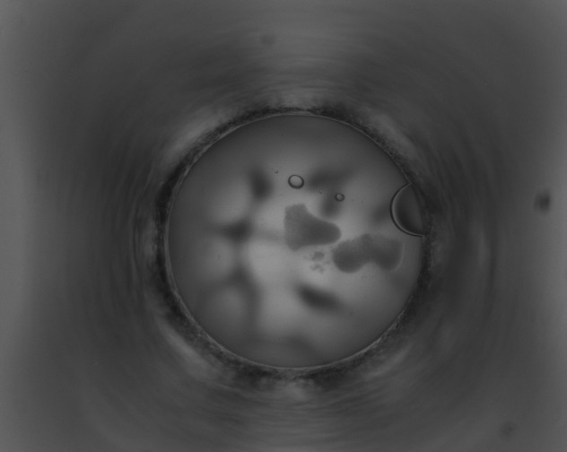 X0000091500683200708301958