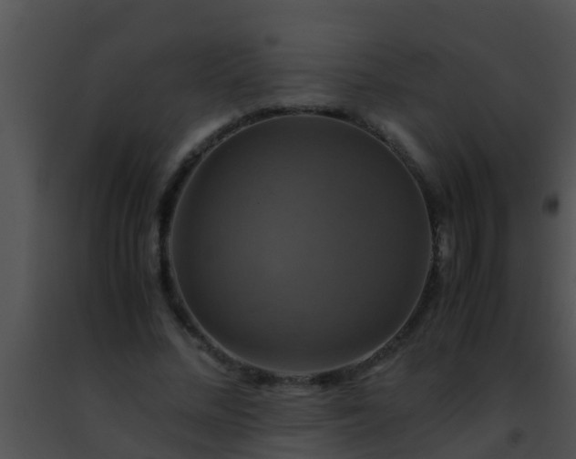 X0000091500684200708301958