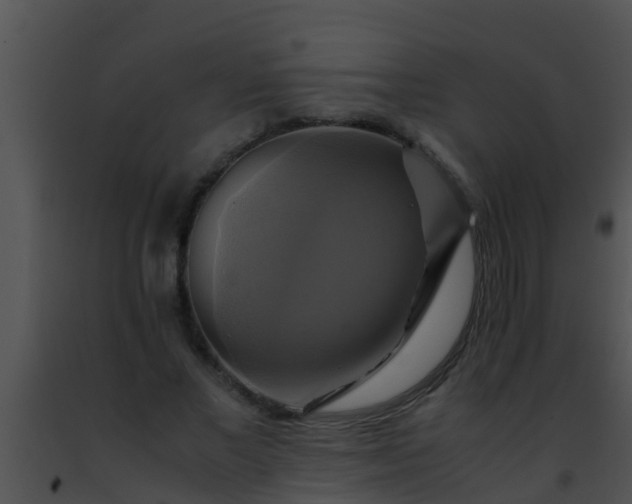 X0000091500685200708301958