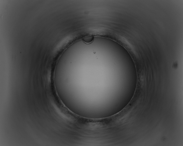 X0000091500686200708301958