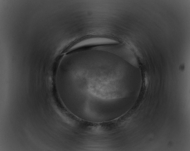 X0000091500688200708301958