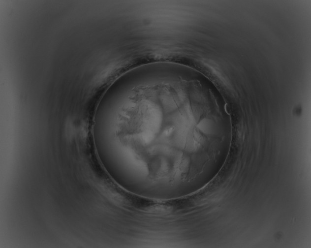 X0000091500691200708301958