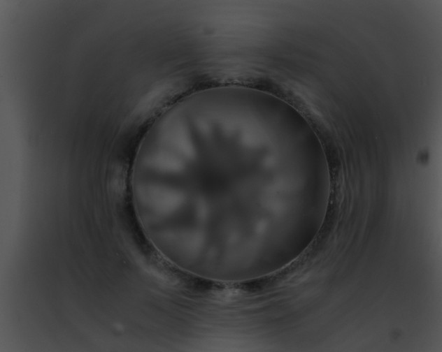 X0000091500695200708301958