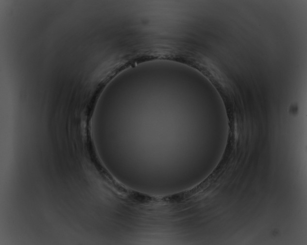 X0000091500696200708301958