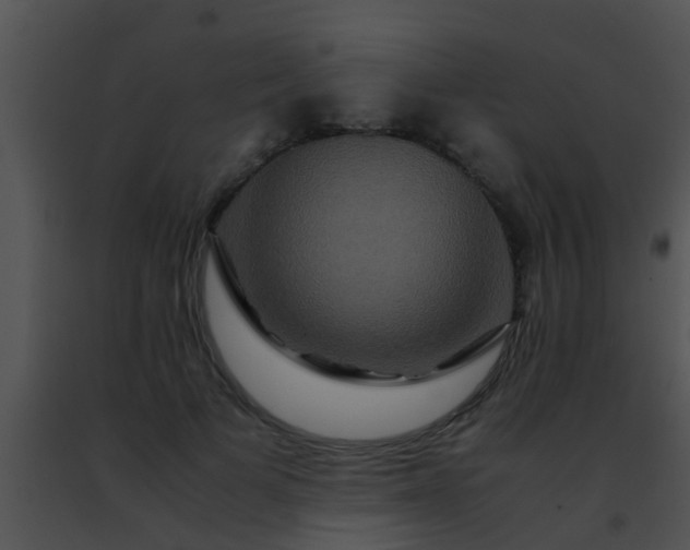 X0000091500697200708301958