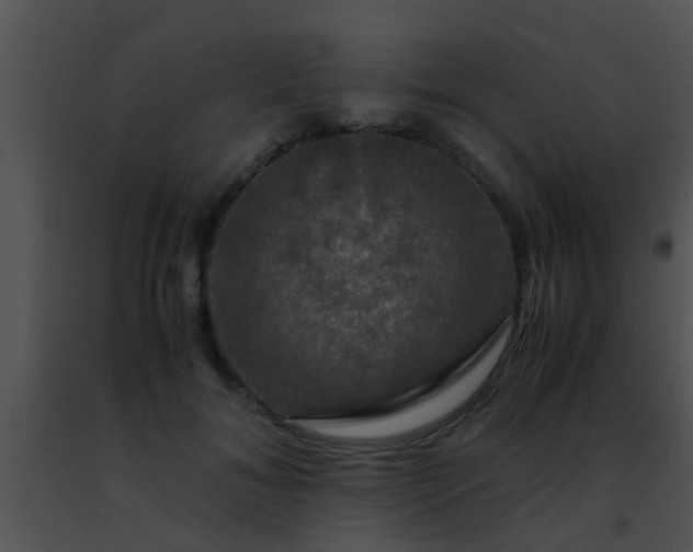 X0000091500700200708301958