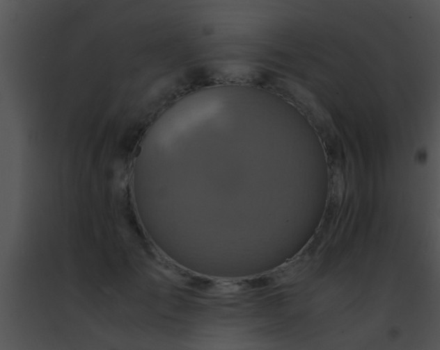 X0000091500701200708301958