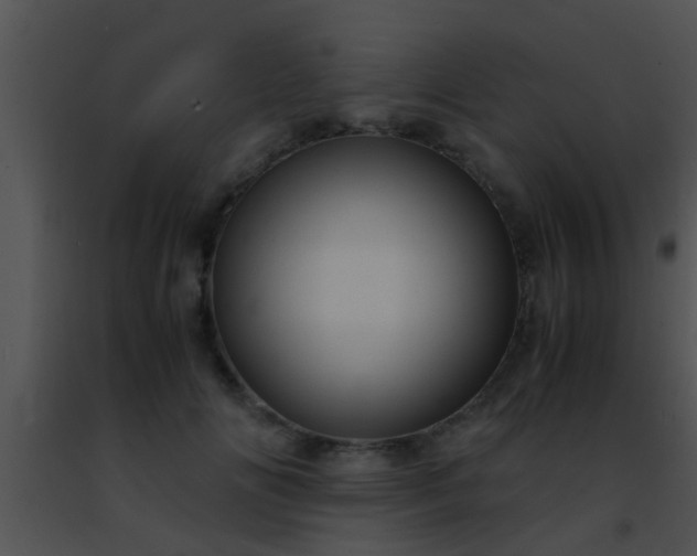 X0000091500702200708301958