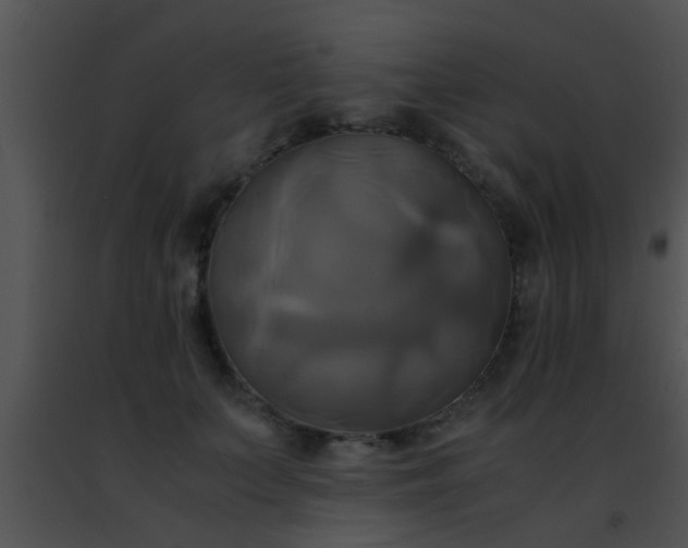 X0000091500703200708301958