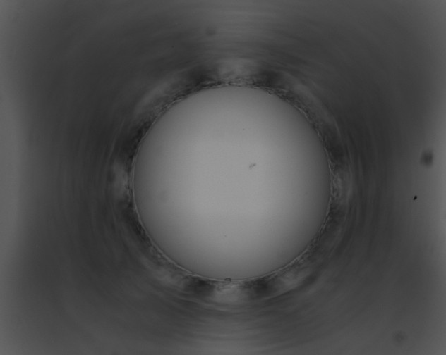 X0000091500705200708301958