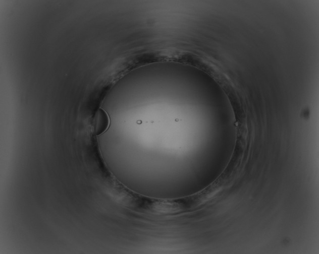 X0000091500707200708301958