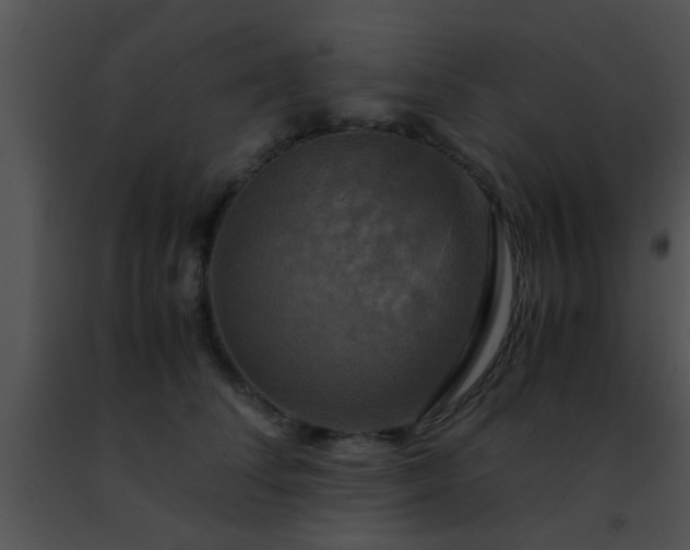 X0000091500708200708301958