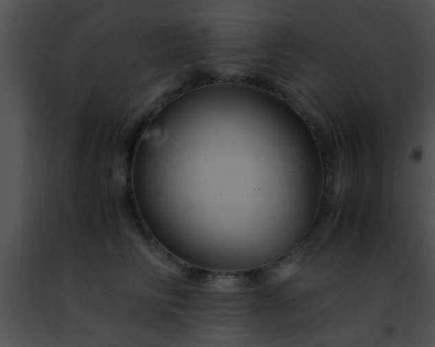 X0000091500710200708301958