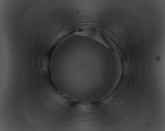 X0000091500712200708301958