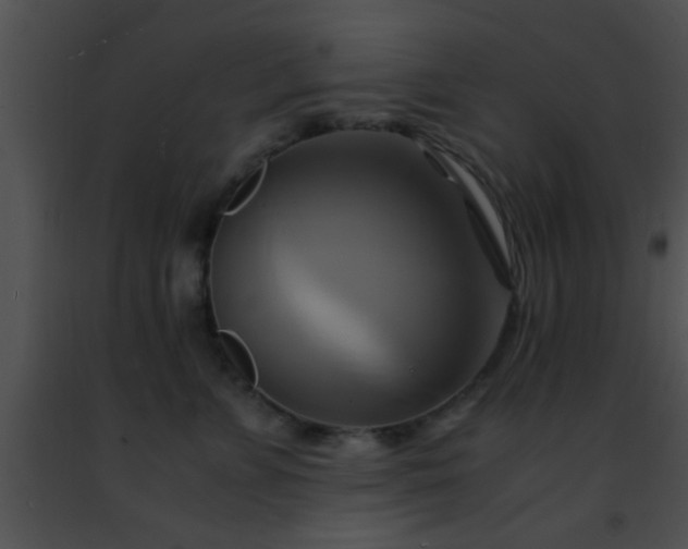 X0000091500715200708301958