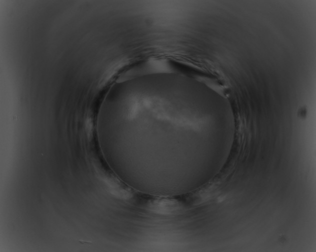 X0000091500716200708301958