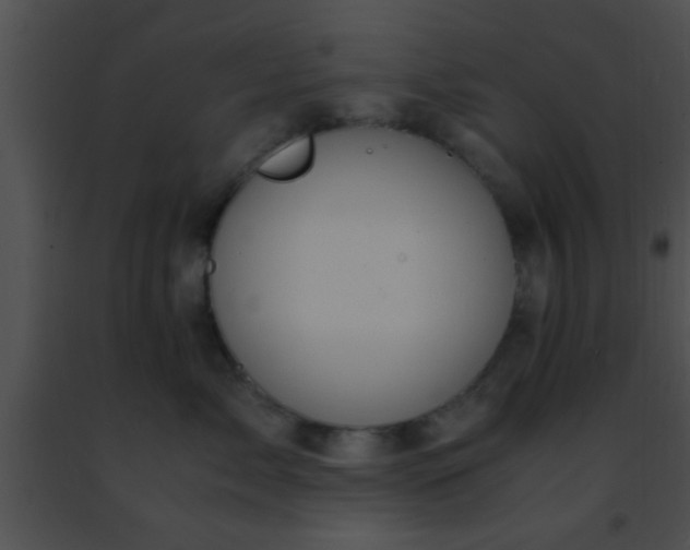 X0000091500717200708301958