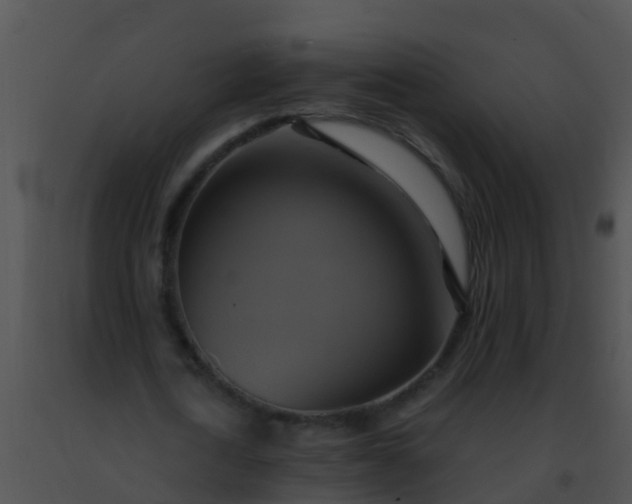 X0000091500722200708301957