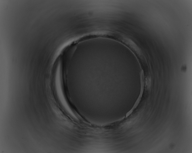 X0000091500724200708301957