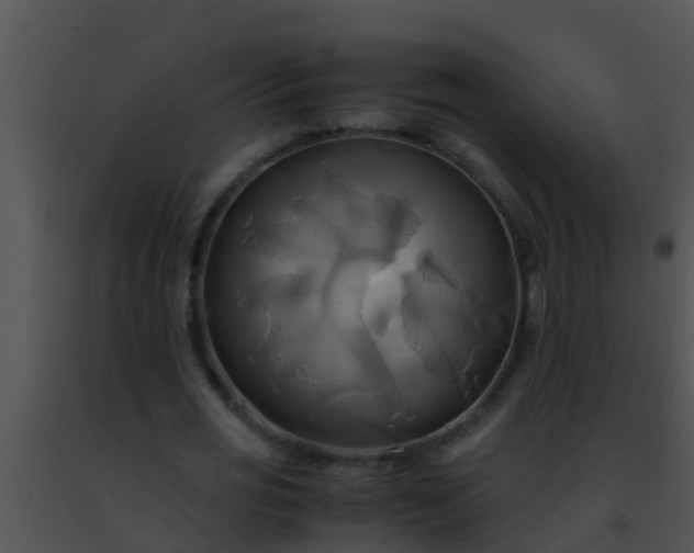 X0000091500725200708301957