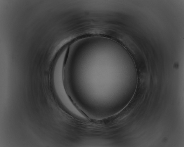 X0000091500727200708301957