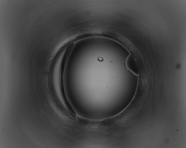 X0000091500728200708301957